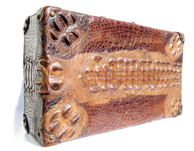 Crocodile　　CASE　ANTIQUE ANTIQUE+19thC+VICTORIAN+