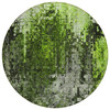 8' Green Artichoke Green And Lime Green Round Abstract Washable Indoor Outdoor Area Rug