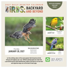 2027 Birds: Backyard & Beyond Daily Desktop Calendar
