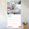 2027 Kittens Wall Calendar