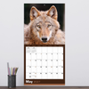 2027 Wolves Wall Calendar