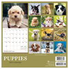 2027 Puppies Mini Calendar