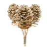 Glittered Pine Cone Bundle 