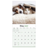 2027 Furry Friends Wall Calendar