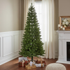 Slender Spruce Christmas Tree