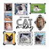 2027 Cat-A-Day Wall Calendar
