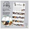 2027 Cat-A-Day Wall Calendar