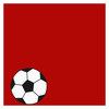 Soccer Balls Shoelaces