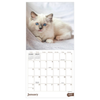 2027 Kittens Mini Calendar
