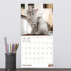 2027 Kittens Mini Calendar