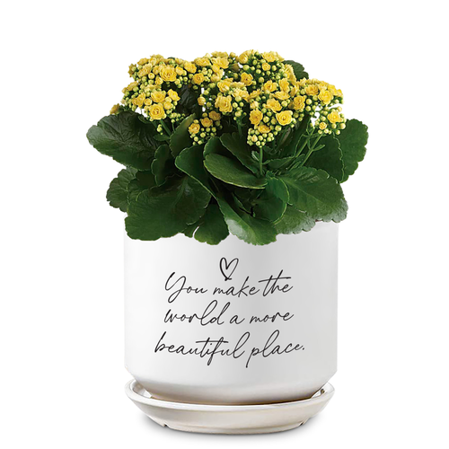 Planter You Make The World Beautiful