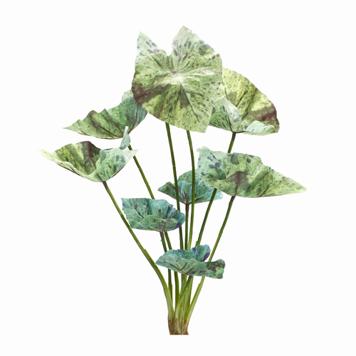 Caladium Bush (Set of 6) 18.5"H Polyester - 746427858069