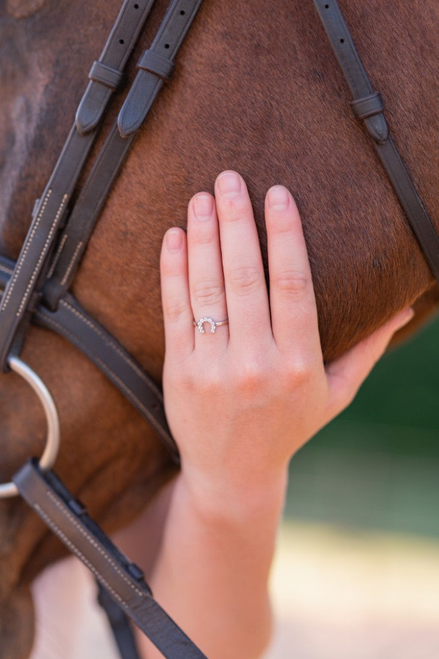 AWST Int'l Sterling Silver & Clear CZ Horseshoe Ring - 840862013431