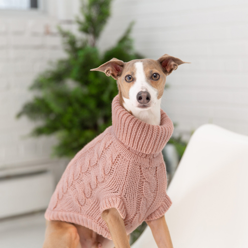 GF Pet Chalet Dog Sweater - 824348737318