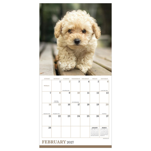 2027 Puppies Mini Calendar