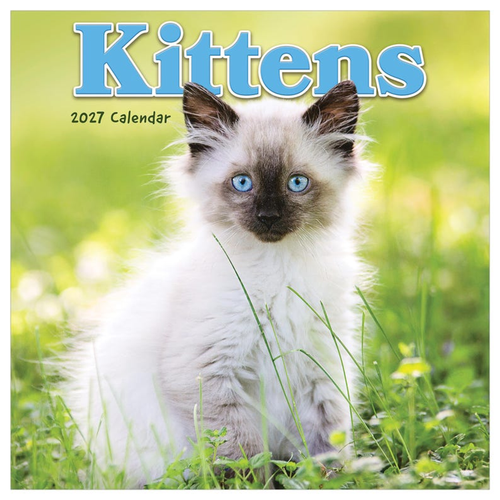2027 Kittens Mini Calendar