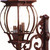 Chateau 4-Light Burled Walnut Wall Light - 808230010079