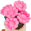 Honeymaru Azalea Succulent Plant Plush - Flowers