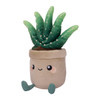 Honeymaru Aloe Vera Potted Plant