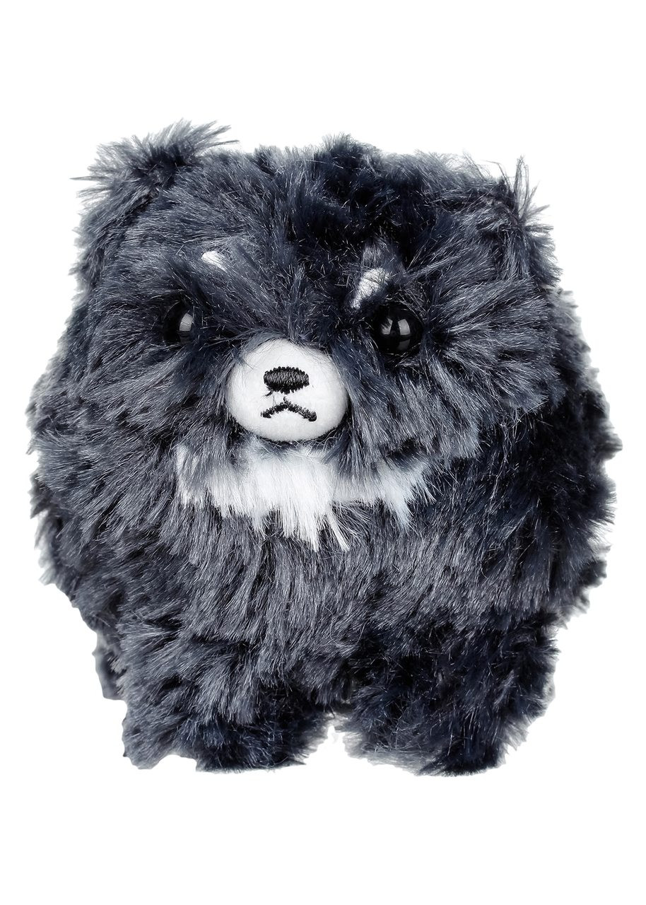 teddy bear pomeranian black