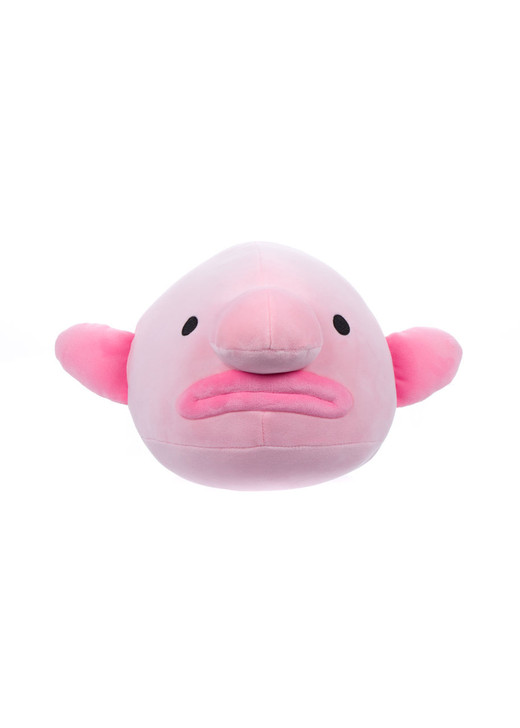 cuddly blobfish