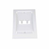 Placa de Pared Vertical Ejecutiva, Salida Para 2 Puertos Mini-Com, Con Espacios Para Etiquetas, Color Blanco 