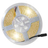 TIANLAI T2835EX04C DM31 TIRA LED CALIDA LED 5 METROS - RECUBIERTA POR GOMA - 50 WATTS - 2400 LM - 3000K - BLANCA CALIDA - 120 GRADOS - CRI 70 - 600 LEDS - PARA INTERIORES