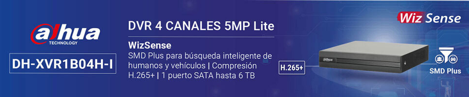 Grabador de 4 Canales (DVR)