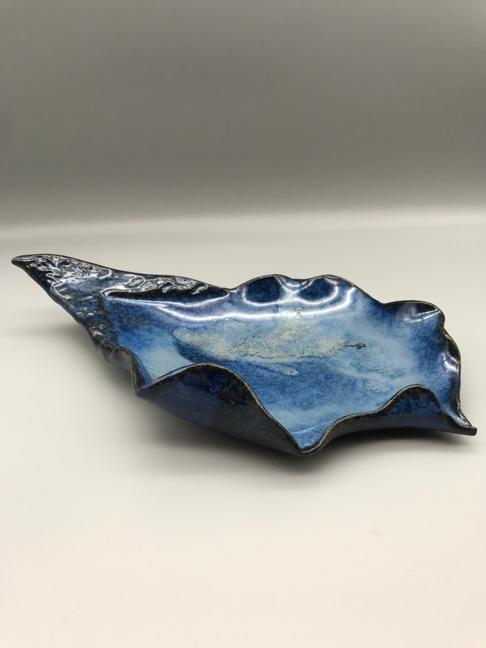 Deep Blue Oyster Shell with Polished Finish by Monika Krajewska