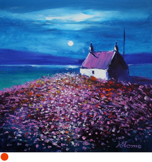 A Field Of Sea Pinks In The Moonlight Isle of Canna by Jolomo SOLD
