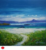 Wild Machair Flowers Traigh Bhan Iona By Jolomo SOLD