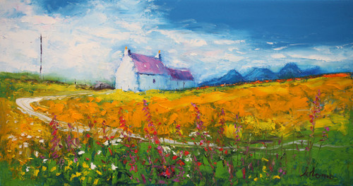 Wild Foxgloves & Paps of Jura Gigha by Jolomo SOLD