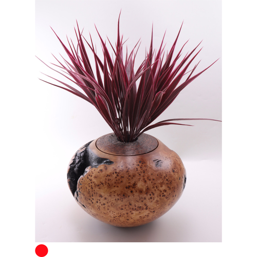 Burr Elm Pod Vase with Smoked Natural Edges and Smoked Carved Band Detailing by Harmonies in Wood SOLD