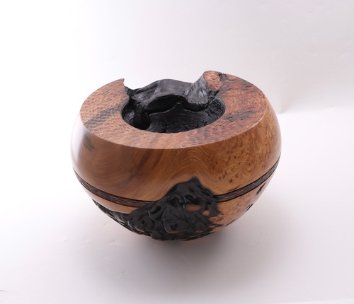 Burr Elm Pot with Smoked Natural Edges by Harmonies in Wood
