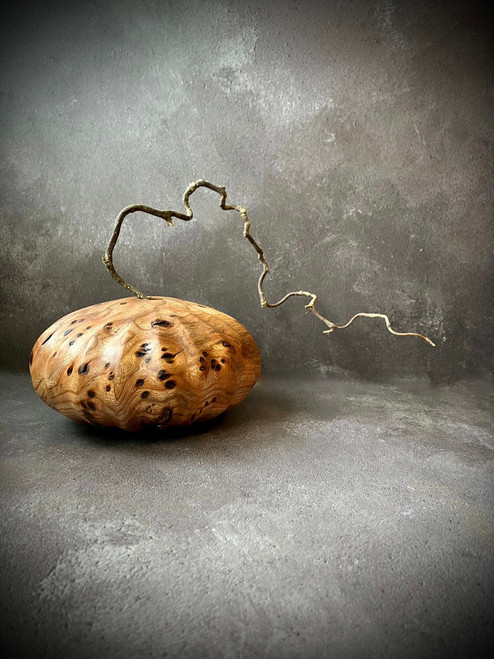 'Poppy Seed Pod' Carved Burr Elm Vase by Kenny Woods SOLD