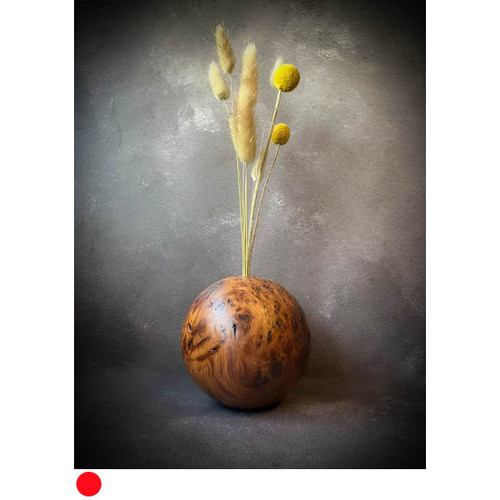 Smoothed Burr Elm 'Sphere Bud Vase' by Kenny Woods SOLD