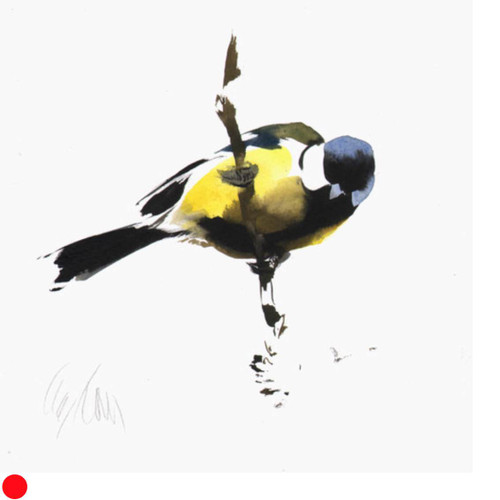 Great Tit by  Lucy Newton SOLD