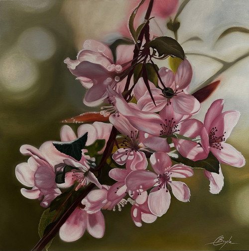 First Light by Charmaine Boyle