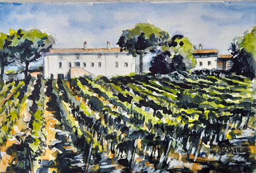 Tuscan Vineyard, Lucca by David Marshall