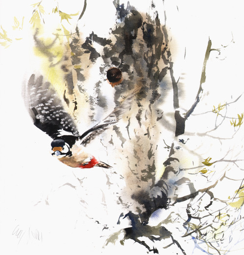 Nesting in the Old Ash Tree - Lucy Newton