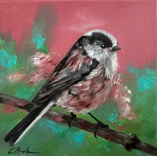 Long-Tailed Tit in Spring - Charmaine Boyle