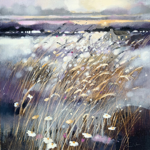 A Highland Sunset - Emma S Davis