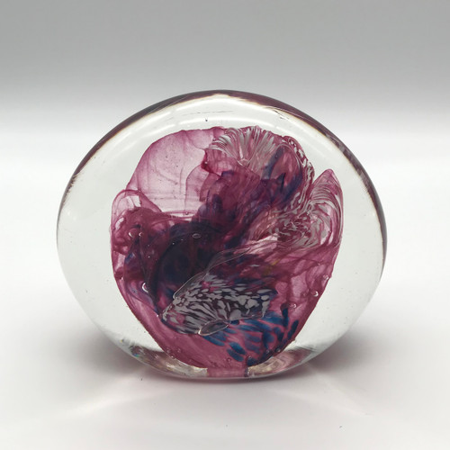 Pink & Purple Seaweight - Jane Charles