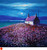 A Field Of Sea Pinks In The Moonlight Isle of Canna by Jolomo SOLD
