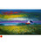 Dawnlight Field  Of Wild Flowers Gigha by Jolomo SOLD