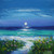 Beach Path Iona by Jolomo SOLD
