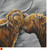 Highland Coo's - A Quick Nuzzle by Stuart Herd SOLD