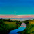Pink Devon, The Fish Stirring in the Dusk by Nichol Wheatley SOLD