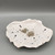 White Dalmatian Shell with Polished Finish by Monika Krajewska, Maison Fragile