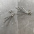 Machair Collection Seven Strand Earrings by Iona Hall SOLD